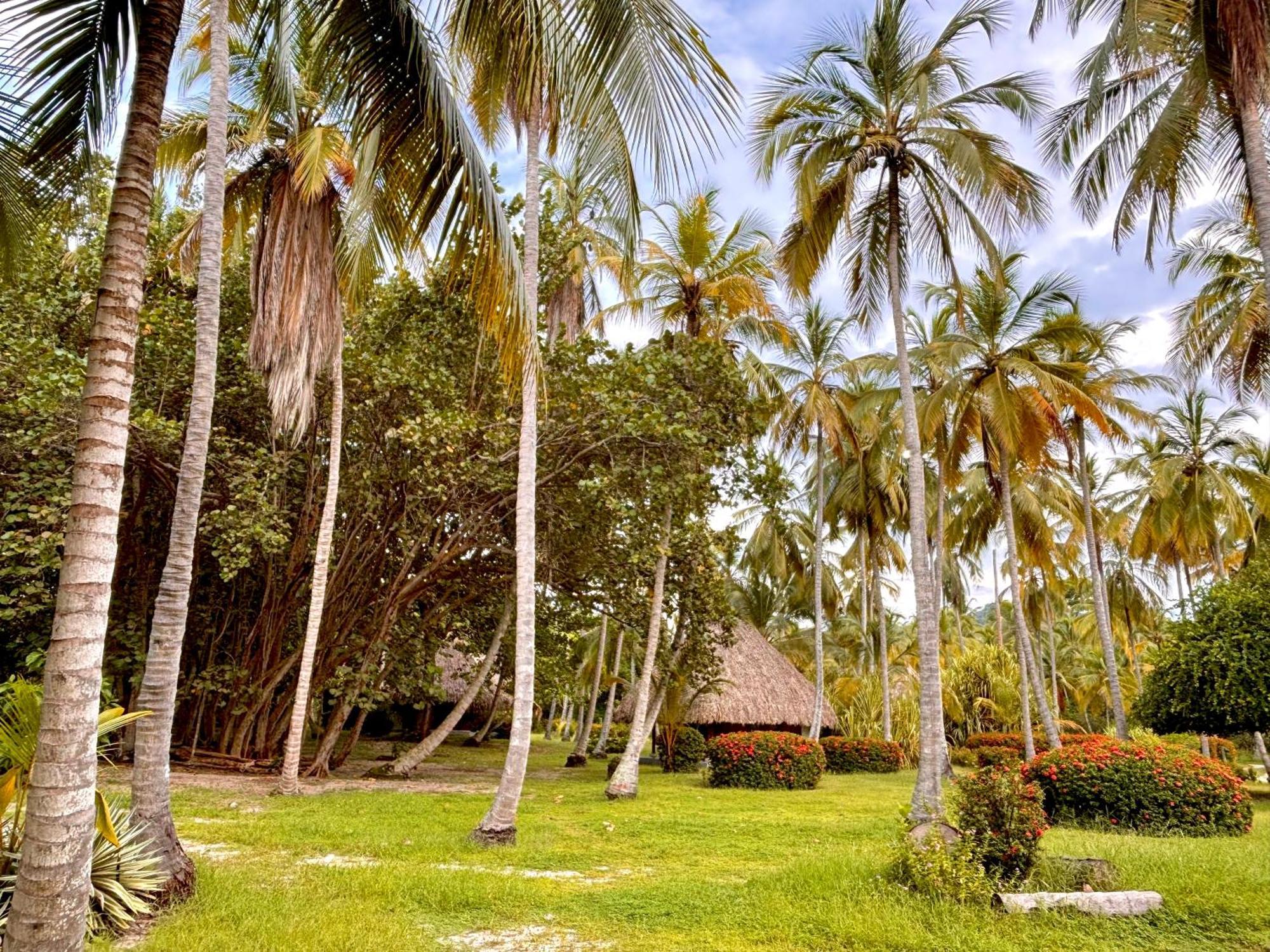 Hotel Playa Bonita Tayrona Buritaca Luaran gambar