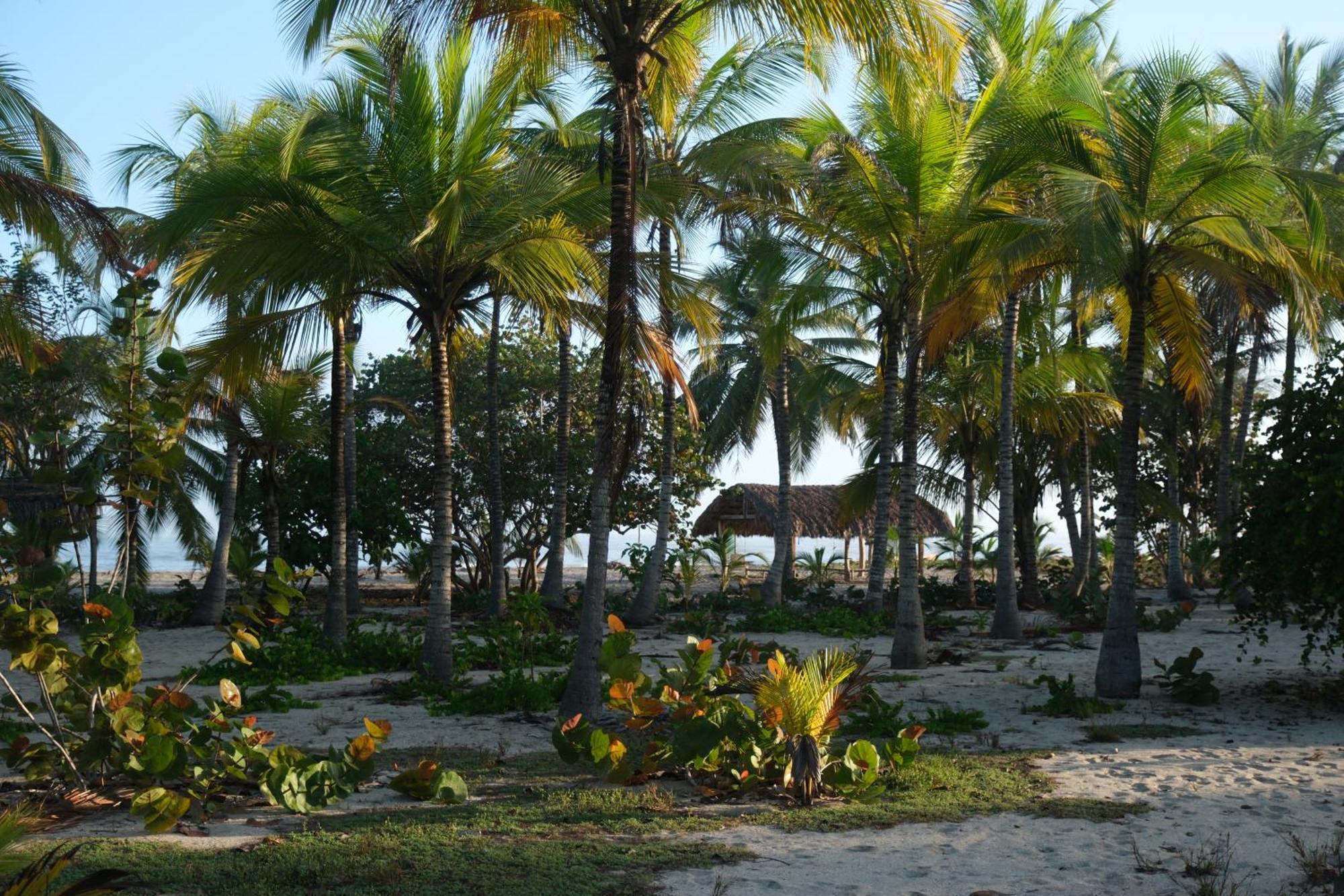 Hotel Playa Bonita Tayrona Buritaca Luaran gambar